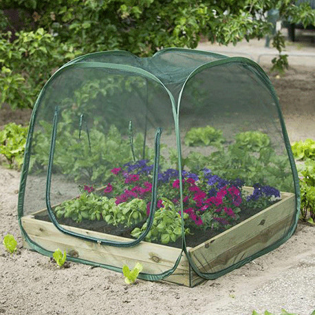 Serre Anti Insectes Pour Carre Potager En Polyester Et Acier Epoxy M